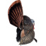 FLEXTONE THUNDER CREEPER STRUTTER DECOY W/ FOLDING FAN