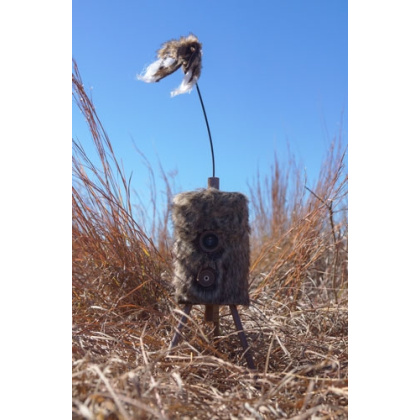 MOJO SUPER CRITTER W/CRITTER TOPPER & SPEAKER