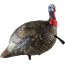 AVIAN X LCD QUARTER STRUT JAKE DECOY