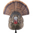 AVIAN X LCD STRUTTER DECOY