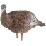 AVIAN X LCD BREEDER HEN DECOY