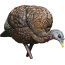 AVIAN X LCD FEEDER HEN DECOY