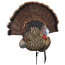 AVIAN X TROPHY TOM DECOY