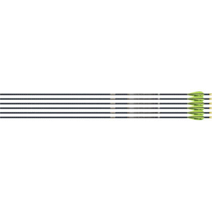 EASTON 4MM FMJ MATCH GRADE 300 6-PACK W/ 3" AAE HYBRID VANES<
