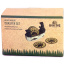 RIVERS EDGE BEARS IN A BOAT COASTER SET 4 PIECE