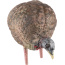 AVIAN X LCD FEEDER HEN DECOY