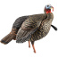 AVIAN X HDR JAKE DECOY