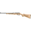 RUGER 10/22 22LR GATOR SCENE BLUED NATURAL LAMINATE STOCK <
