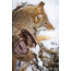 MOJO SUPER CRITTER W/CRITTER TOPPER & SPEAKER